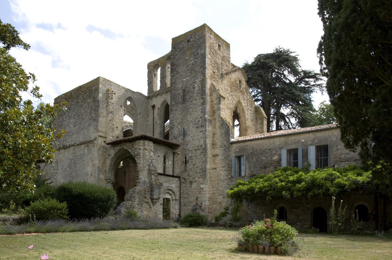 Abbaye De Villelongue Saint-Martin-le-Vieil Eksteriør billede