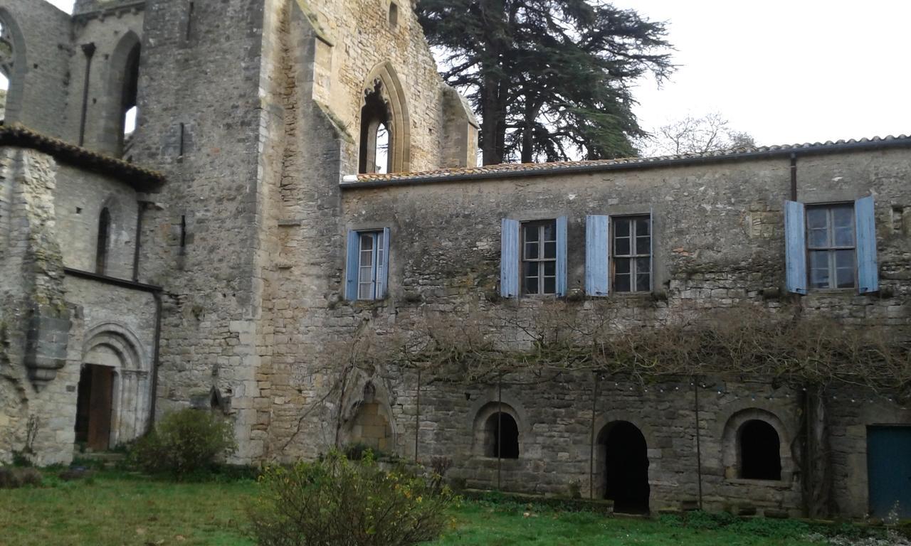 Abbaye De Villelongue Saint-Martin-le-Vieil Eksteriør billede